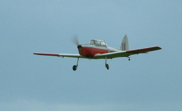 chipmunkfly
