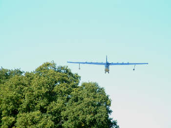 goose_fly