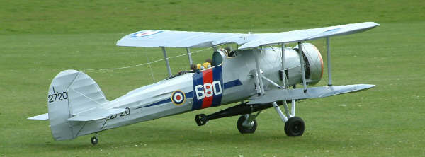 swordfish