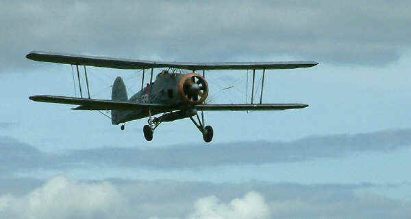 swordfishfly
