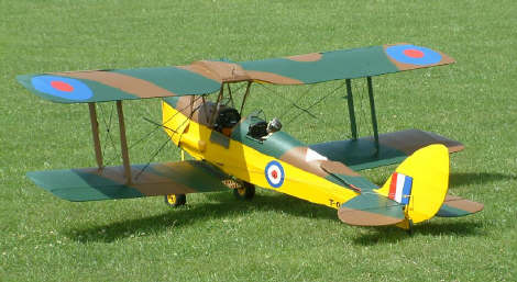 tigermoth