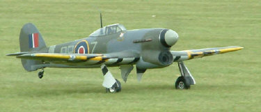 typhoon
