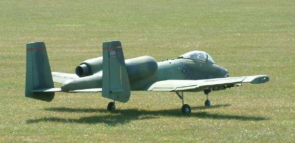 warthog