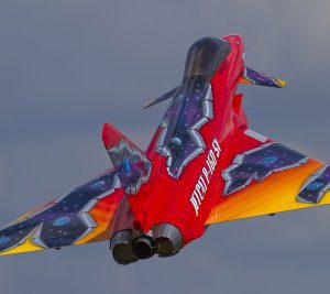 16 RCMW 2633