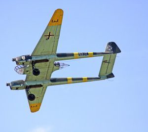 Chedder 3_w