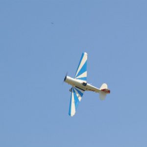IMGP4499