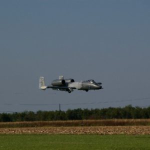 IMGP5169