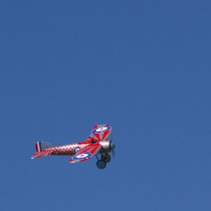 IMGP5343
