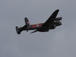 IMG_3751