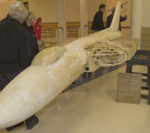 LMA_MG_1443