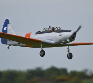 LMA_MG_43