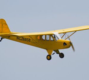 LMA_MG_47