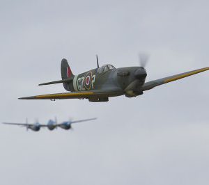 LMA_MG_5496