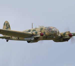 LMA_MG_5528