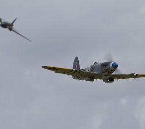 LMA_MG_5874