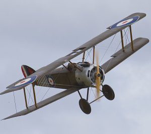 LMA_MG_6008