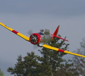 LMA_MG_8600