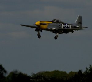 MG_0718