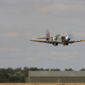 MG_7191