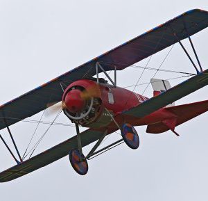 R_D9Q4261