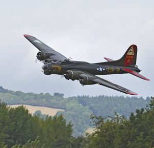 R_D9Q4299