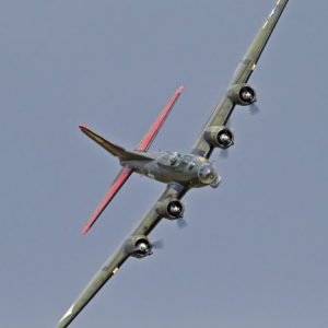 R_D9Q4575