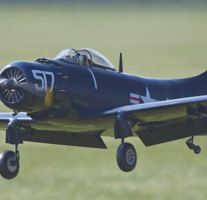 R_D9Q4849