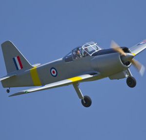 R_D9Q5113