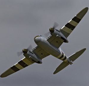 R_D9Q6202