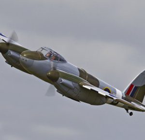 R_D9Q6207
