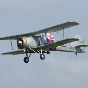 Swordfish flying