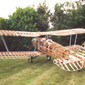 Bulldog structure rear view