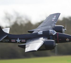 tigercat1