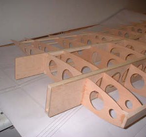 wing1