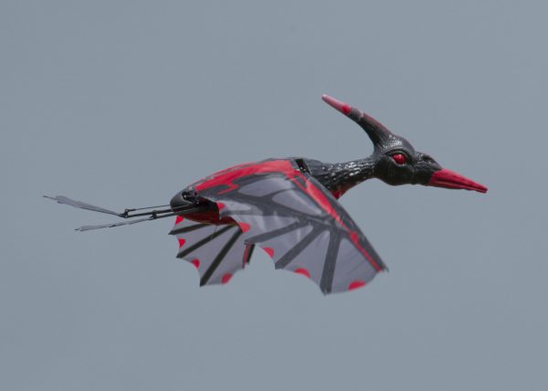 LMA AGM 16 November 2025