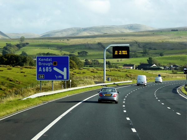 Teesside Show Report July 2023