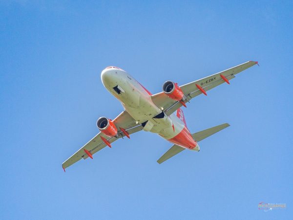 Teesside Show Report July 2023