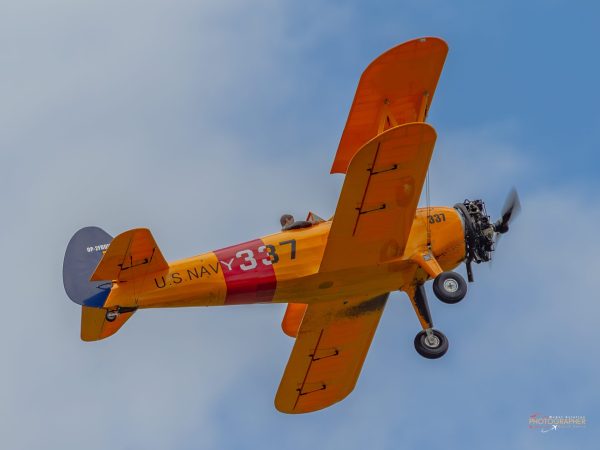 Teesside Show Report July 2023