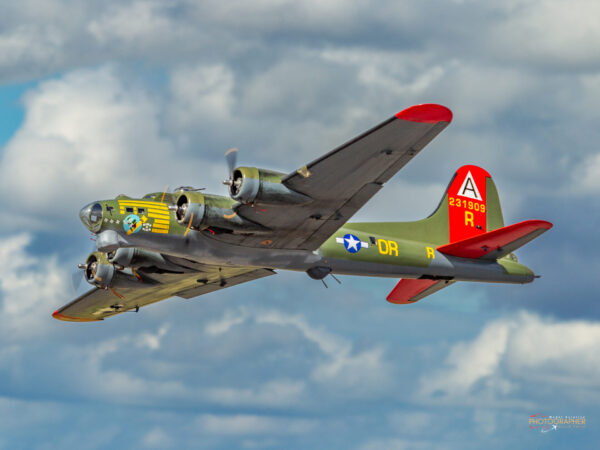 Elvington Show Report 2023