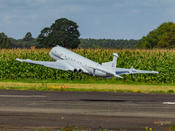 Elvington Show Report 2023