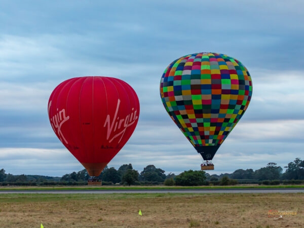 Elvington Show Report 2023