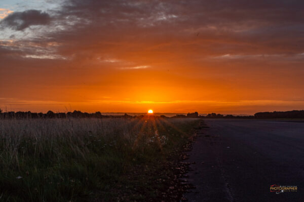 Elvington Show Report 2023
